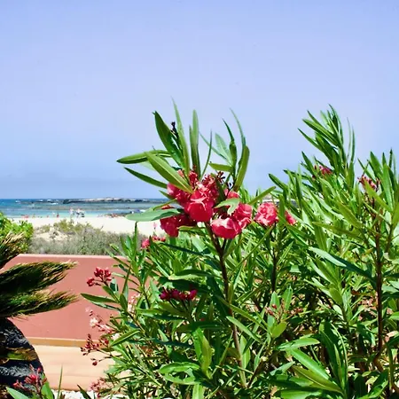 Appartement Marfolin 1 - No Stress Holidays